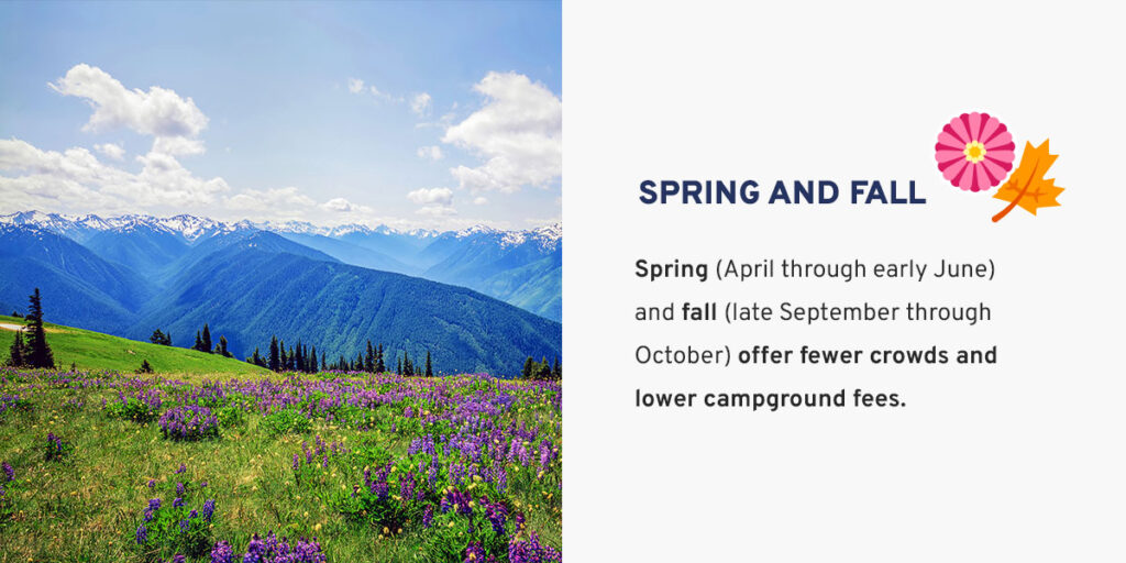 Spring and Fall